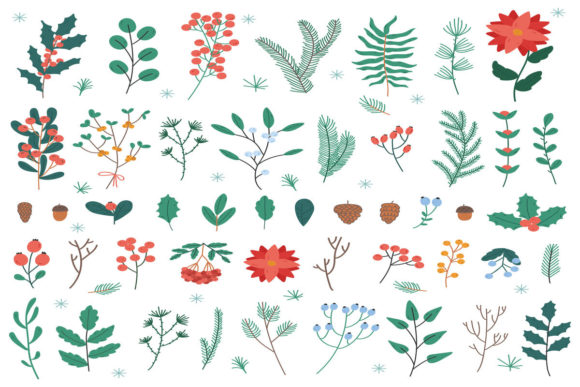 Enhance Your Christmas Decor with Festive Plants