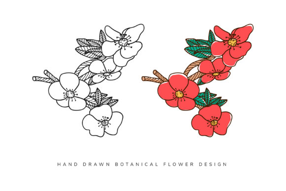 Hand-Drawn Botanical Flower Elements for Design