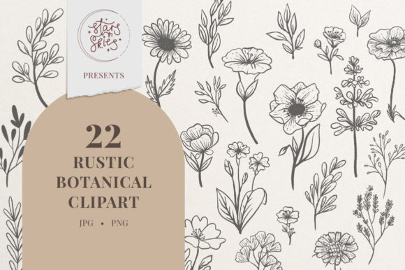 Rustic Botanical Illustration Clipart: A Versatile Tool for Modern Design