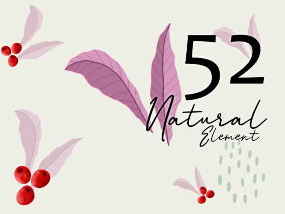 Unlocking Creativity with 52 Hand Drawn Natural Elements
