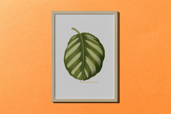 Vintage Hand Drawing Illustration Asset: A Versatile Tool for Creative Projects