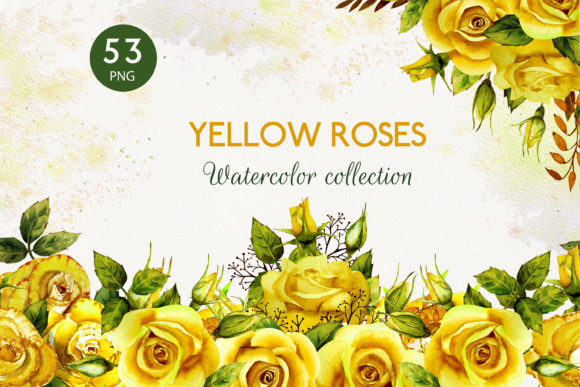 Yellow Roses. Watercolor Collection